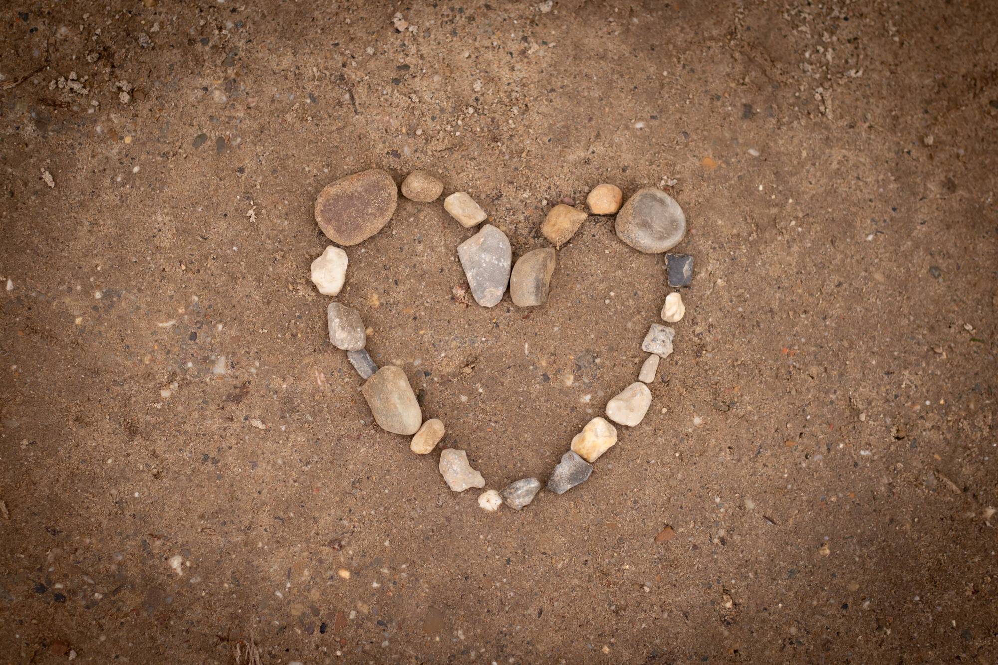 Wat kun je verwachten - Levensbaan